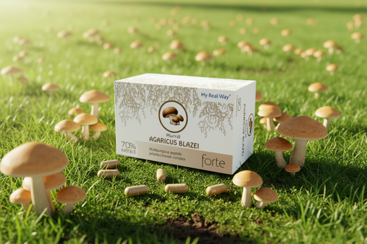 съёмка в рекламном стиле, фон яркий,  поляна ,зелёная трава , Agaricus Blazei Murrill грибы ,детализированный