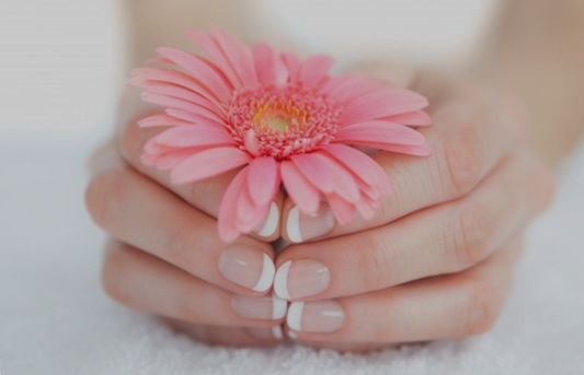 Enoki grybo ekstraktas (Flammulina velutipes) 70 % moterų sveikatai