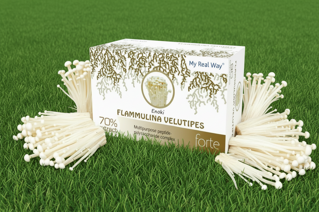 Enoki grybo ekstraktas – ilgaamžiškumo ir imuniteto šaltinis