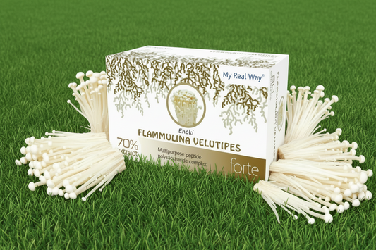 Enoki grybo ekstraktas – ilgaamžiškumo ir imuniteto šaltinis