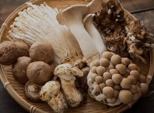 Gydomieji grybai: natūrali sveikatos palaikymo priemonė|NaturPepdide