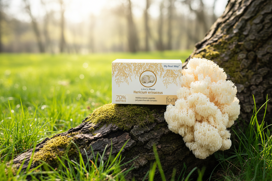Lion’s Mane grybas – Paslaptinga Gamta ir Mokslu Įrodyta Nauda Jums|NaturPeptide