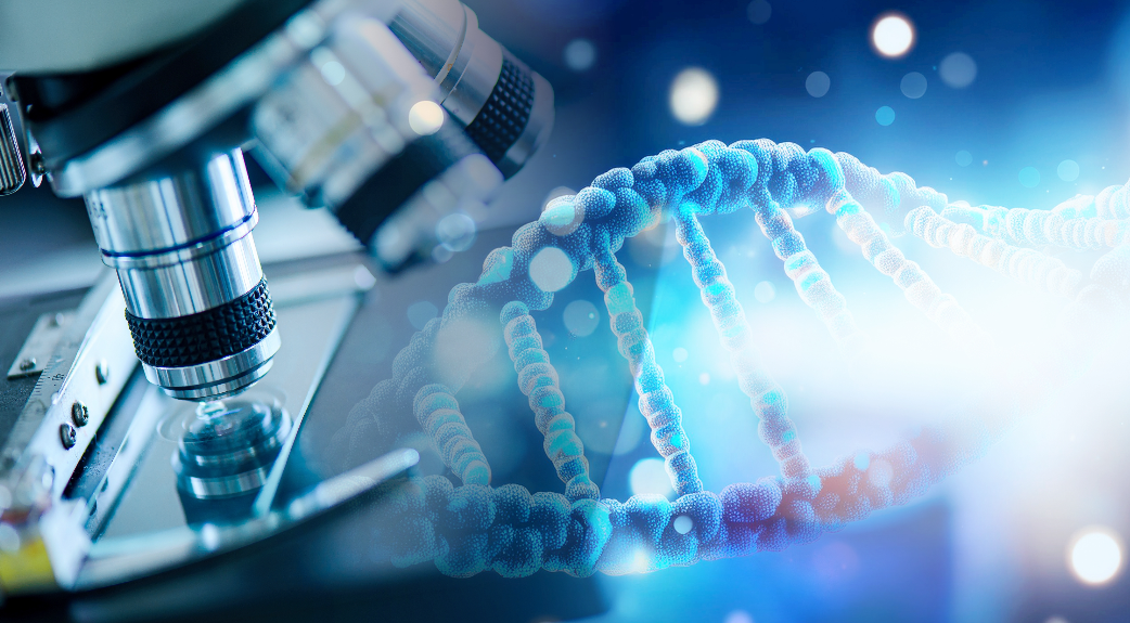 Peptidai ir jų poveikis sveikatai: kas tai ir kodėl svarbu?|NaturPeptide