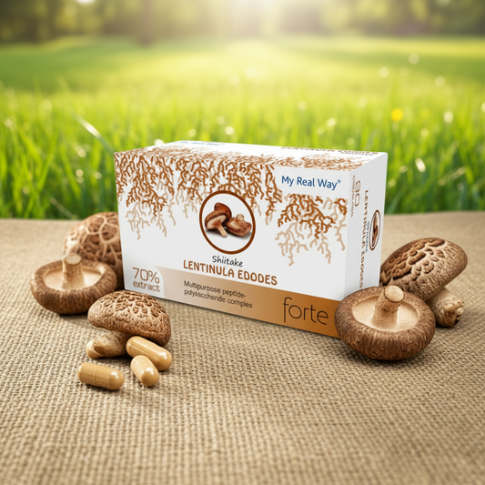 Šiitake ekstraktas – amžinos jaunystės grybas|NaturPeptide