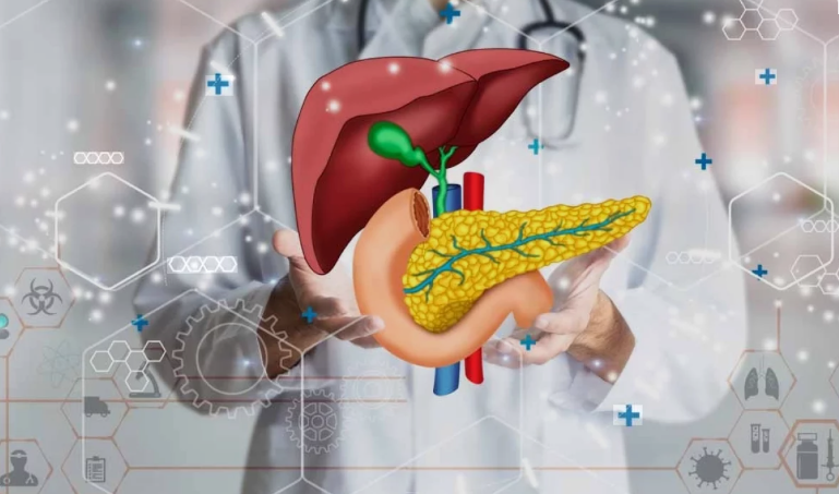 Kepenų ir kasos sąveika: tarpusavio ryšys ir kompleksinė parama