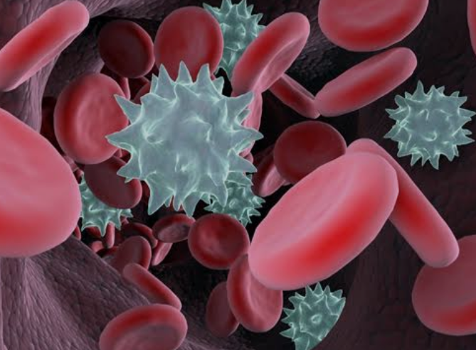 Maisto papildai su peptidais kraujodaros sistemai|My Real Way