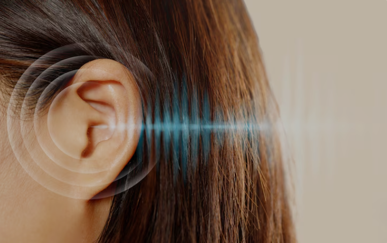 Maisto papildai su peptidais klausos organams