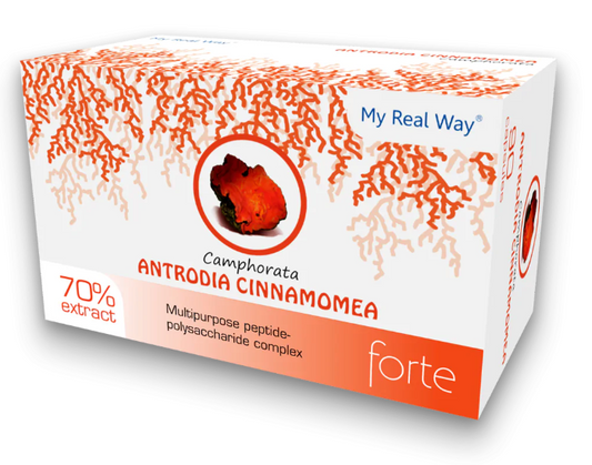 Antrodia Camphorata grybų ekstraktas 70%, 90 kaps.