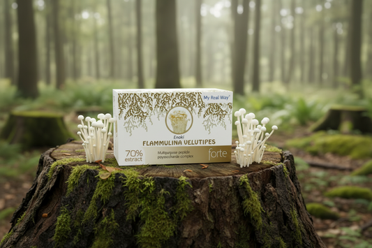 Enoki grybo ekstraktas (Flammulina velutipes) 70 % ,90 kaps.