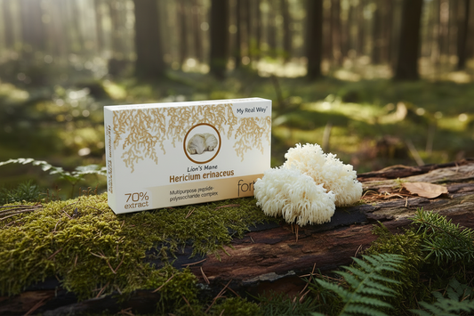 Liūto karčiai grybo ekstraktas (Hericium erinaceus) 70% , 30 kaps.